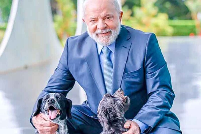 Lula-lança-programa-que-amplia-cuidados-para-animais-de-estimação