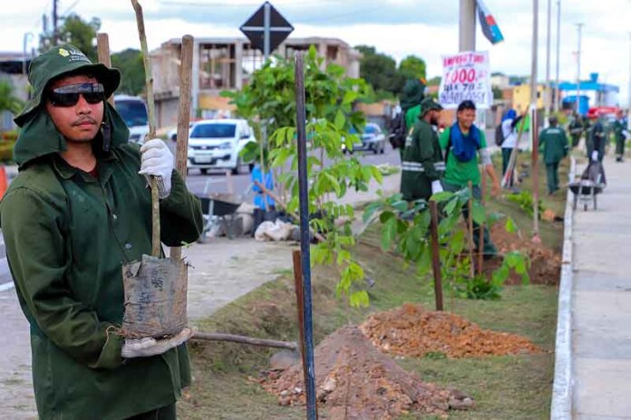 Manaus-mais-verde-projeto-da-prefeitura-visa-plantar-15-mil-árvores-até-dezembro