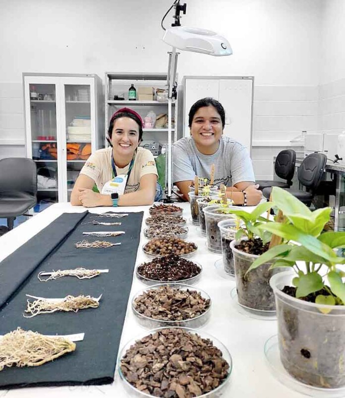 Mulheres-da-Amazônia-ganham-protagonismo-com-cultivo-de-espécies-nativas-ornamentais