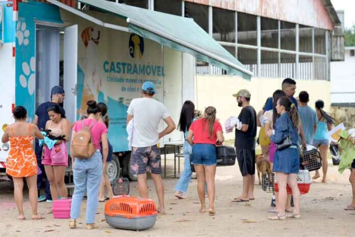 Barcelos-recebe-ação-pioneira-da-Secretaria-de-Proteção-Animal-com-300-castrações