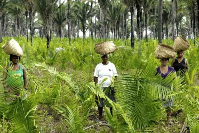 Morosidade-do-governo-ameaça-direitos-de-povos-e-comunidades-tradicionais