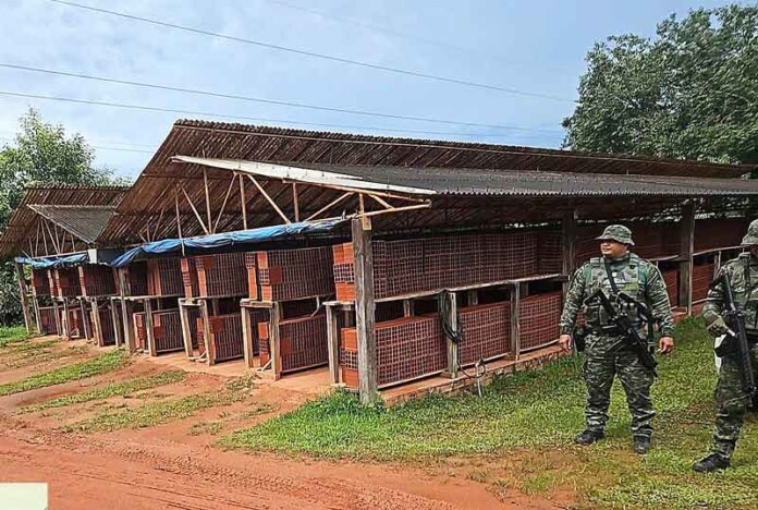 Operação-ambiental-embarga-indústrias-e-remove-invasões-na-RDS-do-Rio-Negro
