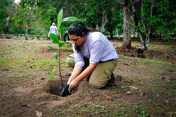 Restauração-Florestal-ganha-força-com-comunidades-ribeirinhas-no-Amazonas
