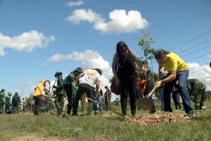 200-mudas-são-plantadas-e-máquinas-de-plantio-são-apresentadas-em-oficina-do-PlaNAU