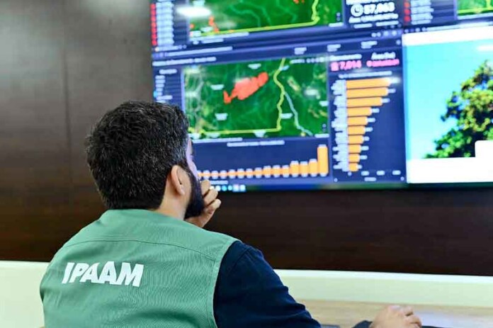 Amazonas-registra-queda-de-21%-no-desmatamento-e-37%-nos-focos-de-calor