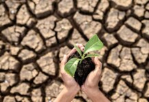 Conservação do solo e sua importância para preservar a vida no planeta