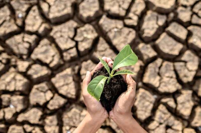 Conservação-do-solo-e-sua-importância-para-preservar-a-vida-no-planeta