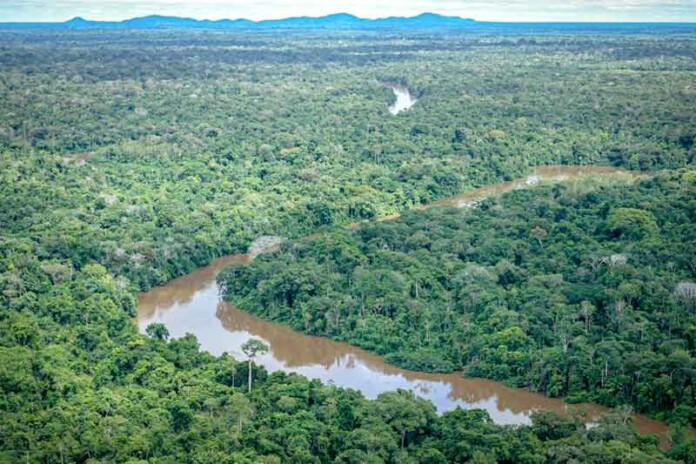 Ibama-aprova-plano-da-Petrobras-para-proteção-de-fauna-oleada-na-Foz-do-Amazonas