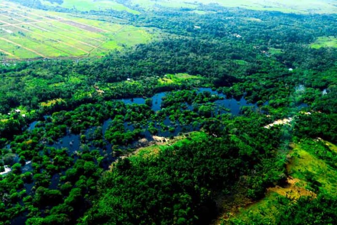 Aleam-discute-implementação-do-Zoneamento-Ecológico-Econômico-no-Sul-do-Amazonas1