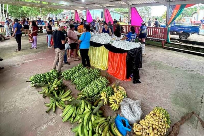 Feira-da-Agricultura-Familiar-movimenta-produção-local-nesta-sexta-feira-em-Japurá