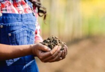 Fertilizantes ajudam a recuperar o solo, mesmo após inundações