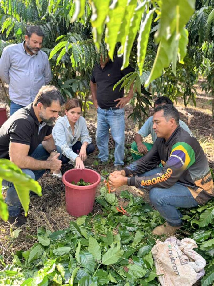 Produtores-de-Apuí-terão-apoio-do-Estado-para-garantir-segurança-jurídica-sobre-suas-terras