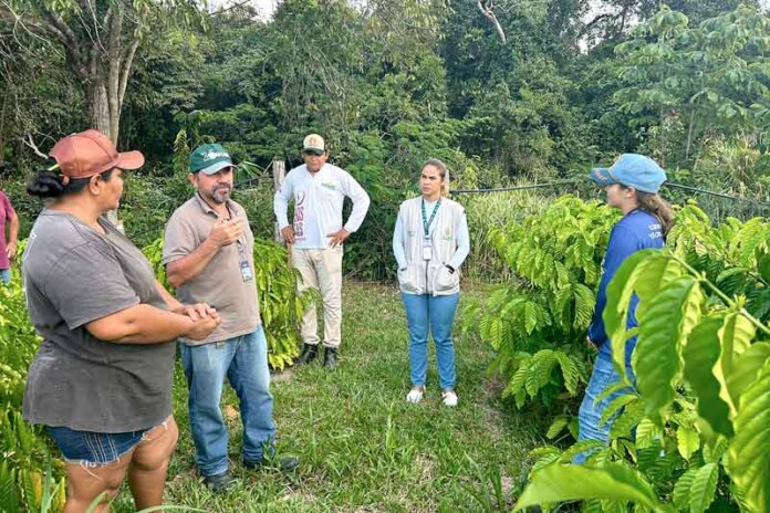 Produtores-de-São-Sebastião-do-Uatumã-solicitam-mais-de-R$-275-mil-em-crédito-rural
