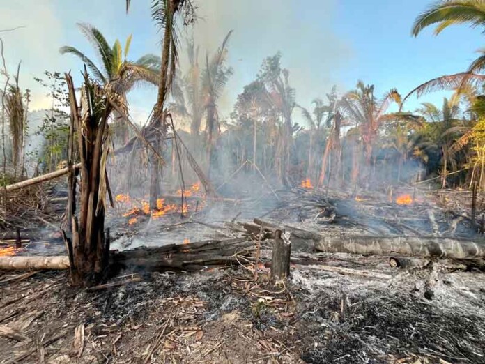 Ronda-ambiental-flagra-incêndio-criminoso-e-resulta-em-prisões-em-Manicoré