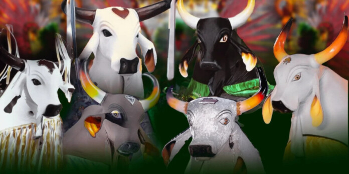 Sambódromo-recebe-o-67º-Festival-Folclórico-do-Amazonas-com-seis-bois-bumbás