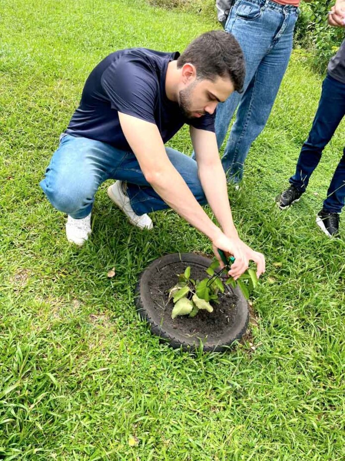 Universitários-mapeiam-saberes-tradicionais-sobre-plantas-medicinais-em-Itacoatiara