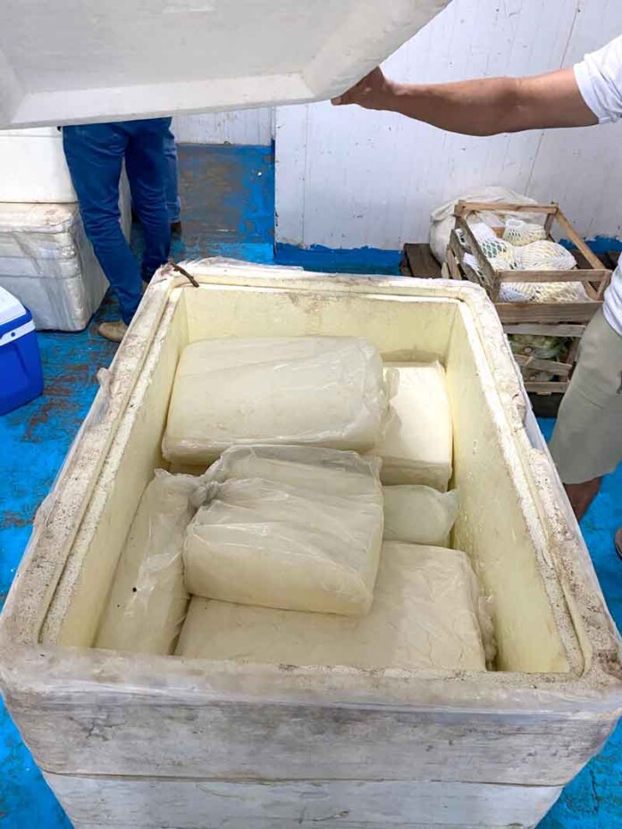 Adaf-apreende-300-kg-de-queijo-e-mariscos-clandestinos-em-Parintins