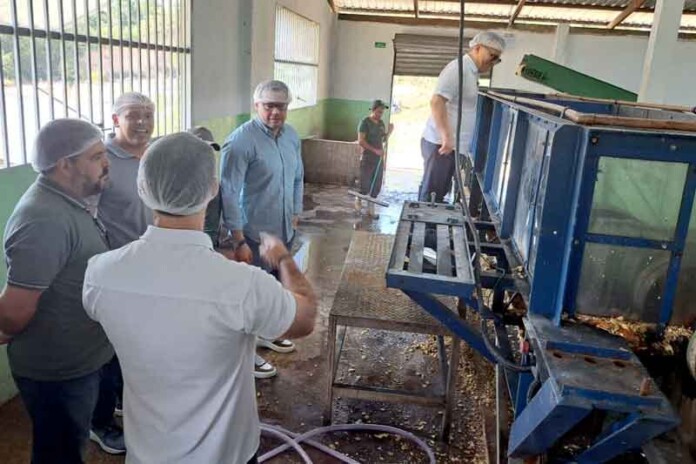 Suframa-visita-Galo-da-Serra-e-promete-impulsionar-agronegócio-no-Amazonas