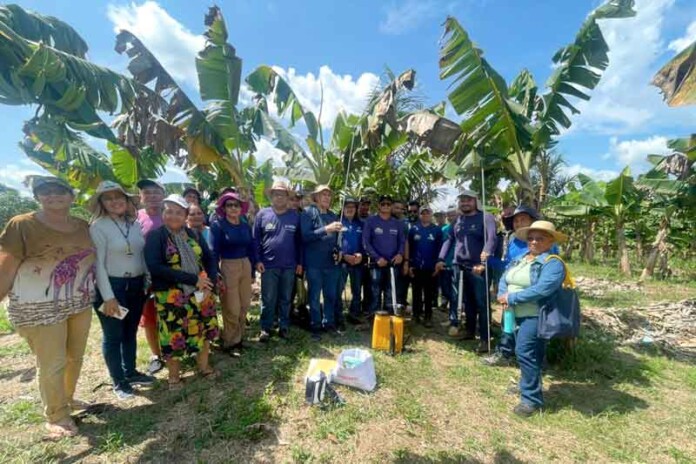Agricultores-de-Manacapuru-declaram-guerra-às-pragas-e-turbinarão-produção-de-frutas