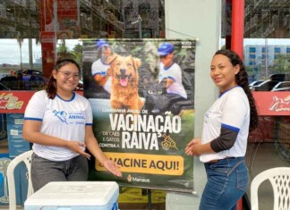 Guerra contra a raiva: clínicas veterinárias entram na linha de frente da vacinação