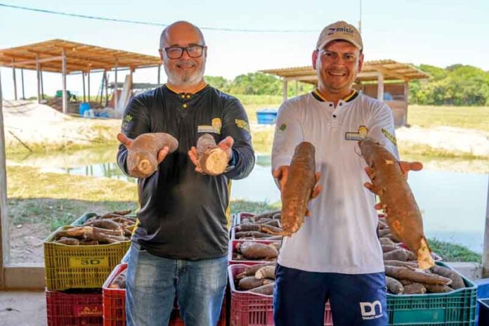 Cooperativismo-de-crédito-cresce-no-Amazonas-e-fortalece-empreendedores-locais