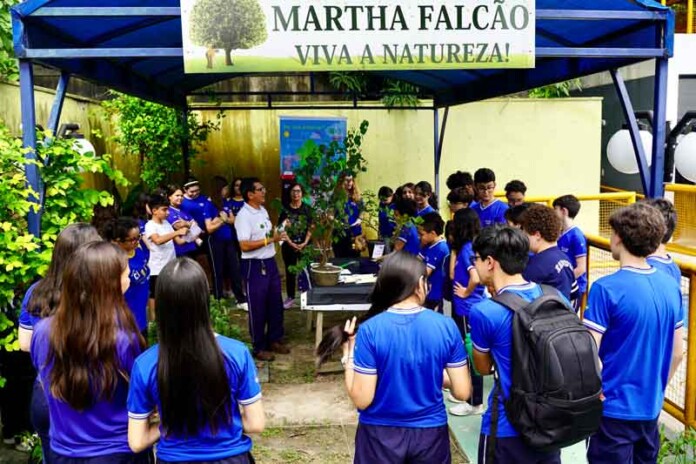 Pinocchio-e-Martha-Falcão-abrem-matrículas-com-novidades-para-2026