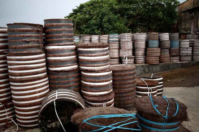 extrativistas-da-piaçava-terão-pagamento-por-quilo-produzido