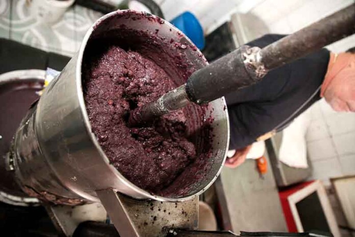 Açaí-adulterado-e-sem-procedência-é-apreendido-em-operação-de-fiscalização1