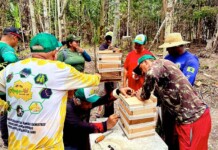 Barcelos aprende a cuidar das abelhas e gera oportunidades de turismo e renda