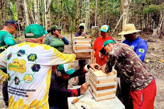 Barcelos-aprende-a-cuidar-das-abelhas-e-gera-oportunidades-de-turismo-e-renda