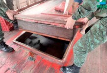 Flagra na Feira da Panair! Barco é pego com cinco toneladas de peixe sem licença