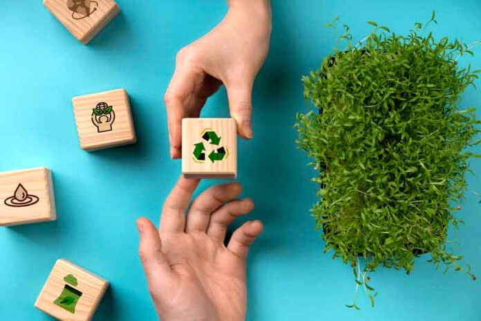 Desmatamento-é-a-maior-preocupação-ambiental,-aponta-pesquisa