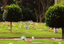Dia de Finados sem tabus: descubra o que você nunca soube sobre cremação e cemitérios