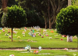 Dia de Finados sem tabus: descubra o que você nunca soube sobre cremação e cemitérios