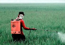 Do Paraguai ao Amazonas: o caminho bilionário dos agrotóxicos do crime