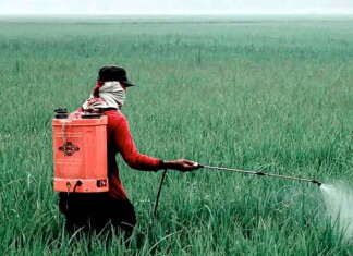 Do Paraguai ao Amazonas: o caminho bilionário dos agrotóxicos do crime