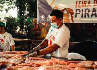 Feira do Pirarucu movimenta Manaus com peixe fresco e sustentável