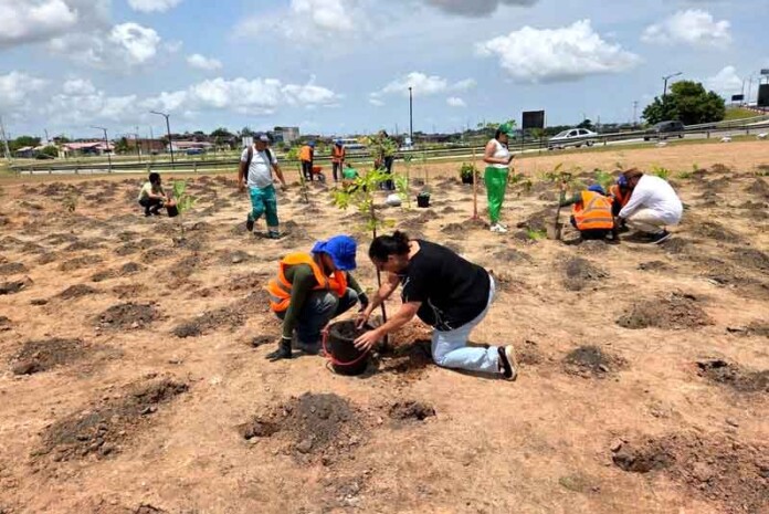 Heineken®-inaugura-primeira-microfloresta-da-região-Norte-em-Belém
