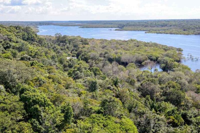 Ibama-libera-Petrobras-para-perfurar-o-“novo-Pré-Sal-da-Amazônia”