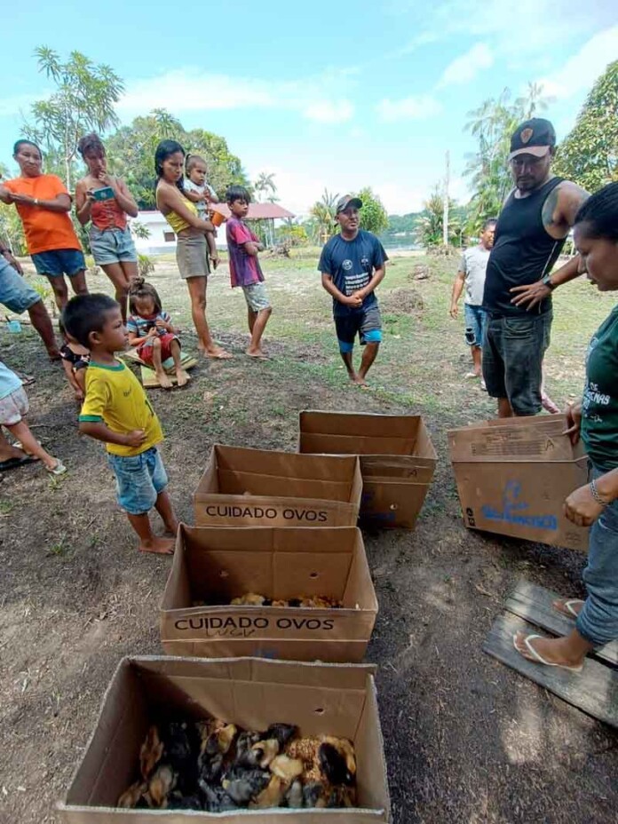 Idam-impulsiona-autonomia-indígena-com-ação-exemplar-em-São-Gabriel-da-Cachoeira