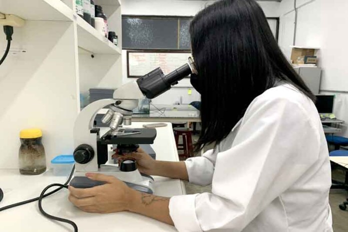Jornada-farmacêutica-explora-potencial-da-biodiversidade-amazônica-na-saúde-Pesquisa