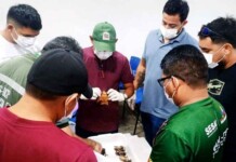 Morcegos sugadores de sangue desafiam saúde pública em regiões isoladas