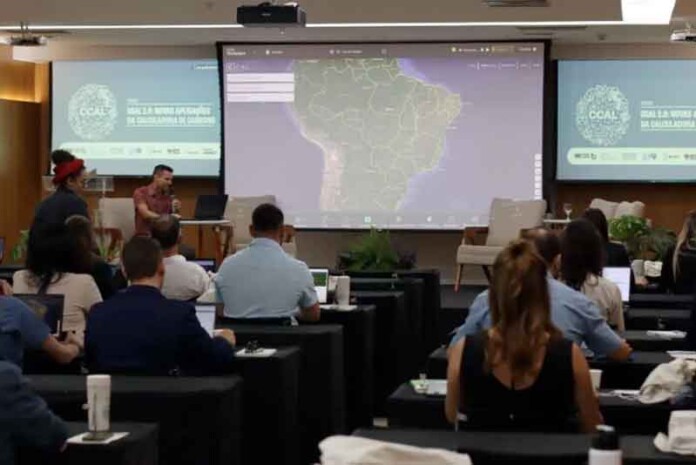 Nova-Calculadora-de-Carbono-promete-virar-o-jogo-contra-o-desmatamento-no-Brasil