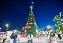 Natal de cinema! Ponta Negra ganhará pista de gelo e árvore gigante iluminada