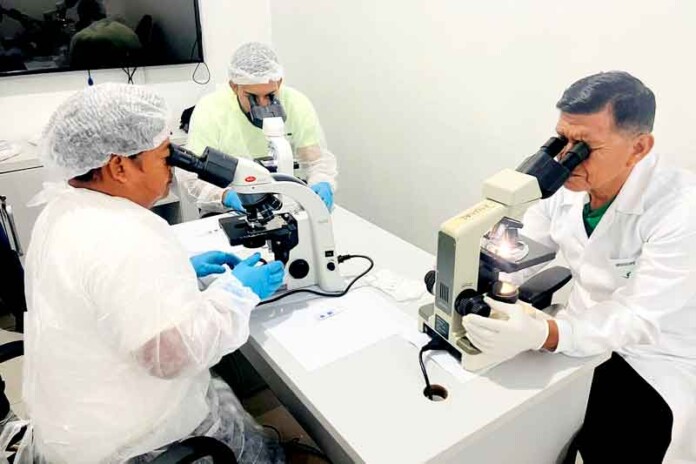 Tabatinga-recebe-ação-estratégica-para-proteger-população-contra-malária-e-endemias