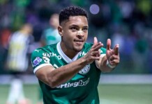 Abel dá aula, Vitor Roque resolve e Palmeiras segue soberano no Brasileirão