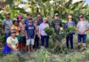 Agricultores de Autazes recebem treinamento para melhorar produção agrícola