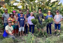 Agricultores de Autazes recebem treinamento para melhorar produção agrícola