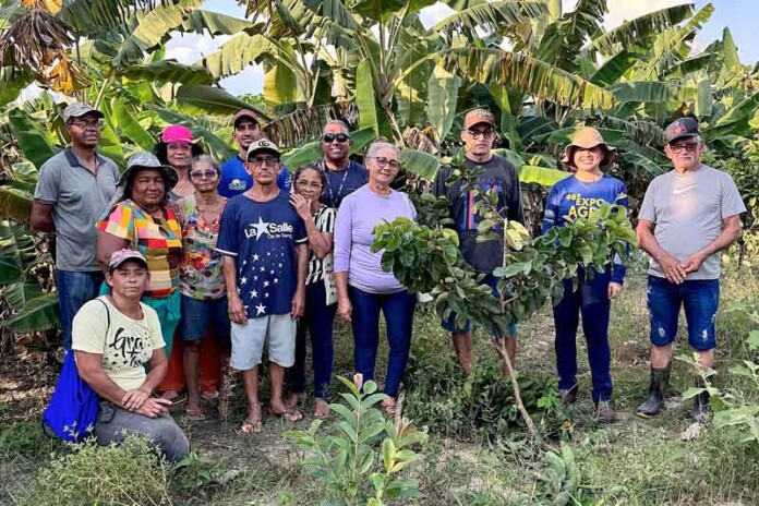 Agricultores-de-Autazes-recebem-treinamento-para-melhorar-produção-agrícola