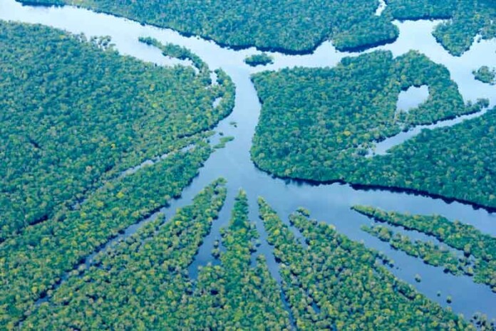 Amazonas-reduz-desmatamento-e-dá-exemplo-para-o-Brasil!